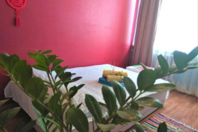 Slucko Central Studio Apartment near River